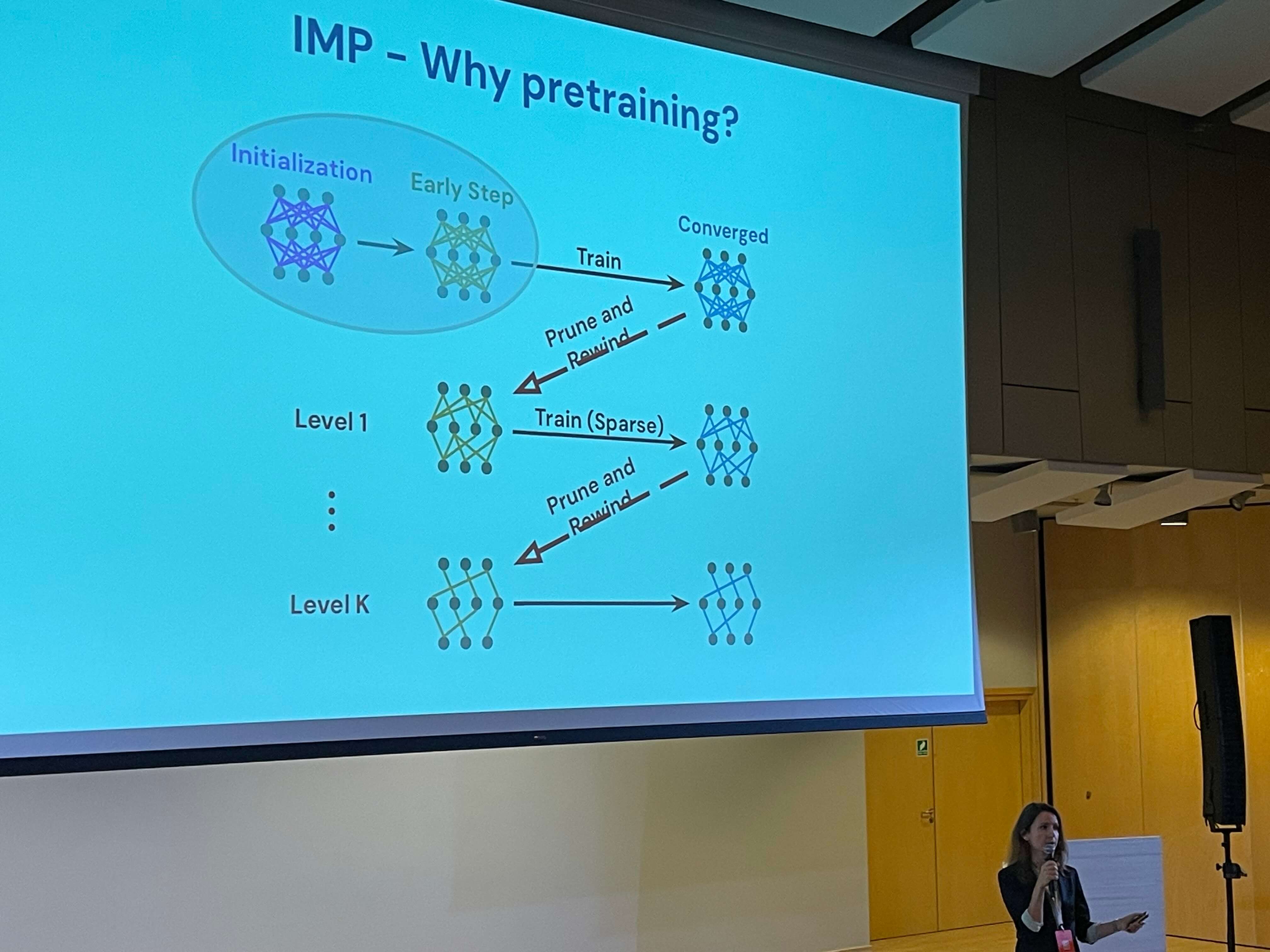 Iterative Magnitude Pruning